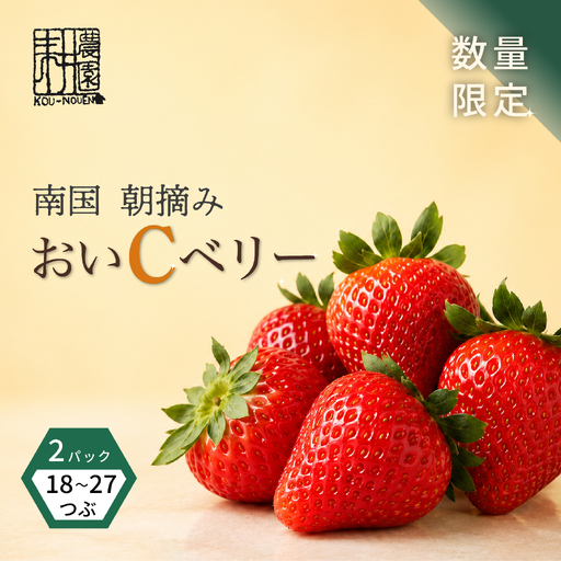 先行予約 いちご 苺 おいCベリー 贈答品 2パック:18〜27粒 (2027年1月発送開始) | 厳選 贈り物 ギフト お取り寄せ 苺 いちご 大粒 南国市