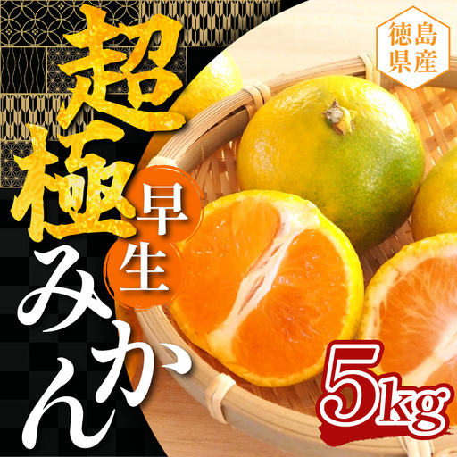 [ 先行予約 ]みかん 5kg 超極早生みかん [ 柑橘 ]