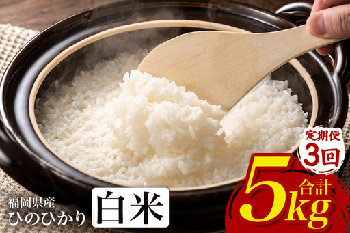 【3回定期便】【ふるさと納税】ひのひかり 米 お米 白米 5kg 5キロ 福岡県産 うきは市 国産 精米 ご飯 ごはん おにぎり お弁当 人気 おすすめ 家庭用 送料無料 新米 ストック 厳選 農家直送 大容量【JA福岡くるめ にじの耳納の里】