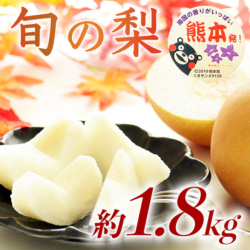 球磨村 旬の梨おまかせ 1.8kg ナシ 梨 果物 くだもの フルーツ FKP9-725