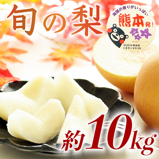球磨村 旬の梨おまかせ 10kg ナシ 梨 果物 くだもの フルーツ FKP9-728