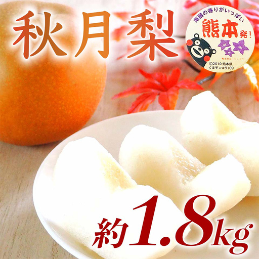 秋月梨 1.8kg ナシ 梨 果物 くだもの フルーツ FKP9-729