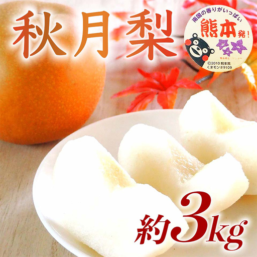 秋月梨 3kg ナシ 梨 果物 くだもの フルーツ FKP9-730