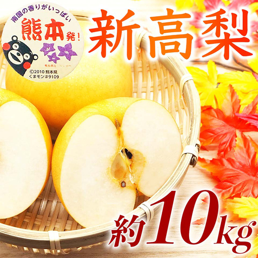 新高梨 10kg ナシ 梨 果物 くだもの フルーツ FKP9-736