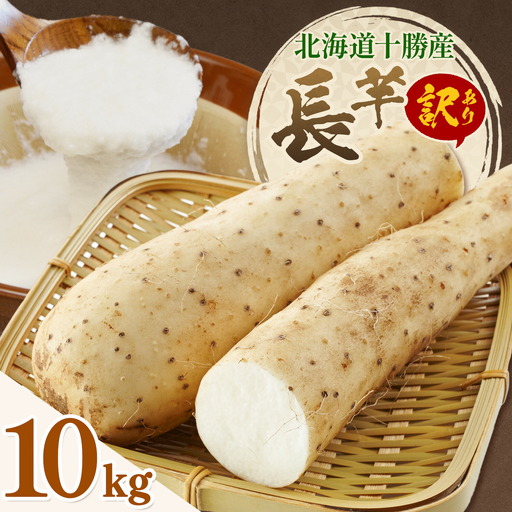2026年 先行予約【訳あり】十勝豊頃産 ながいも 10kg 植村農場 《12月上旬-12月末頃出荷予定》