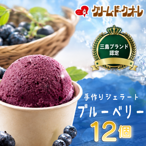 ブルーベリー ジェラート 12個 アイス じぇらーと ぶるーべりー