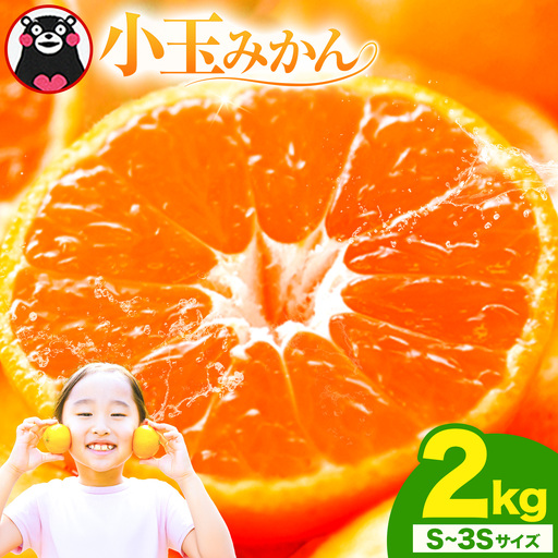 先行予約 小玉みかん S-3Sサイズ 2kg