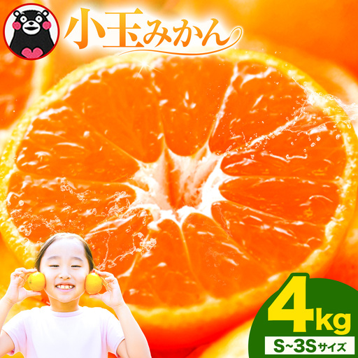 先行予約 小玉みかん S-3Sサイズ 4kg