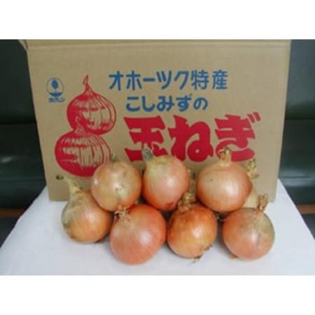 北海道小清水町産 玉ねぎ20kg 甘み豊か 産地直送【1763299】