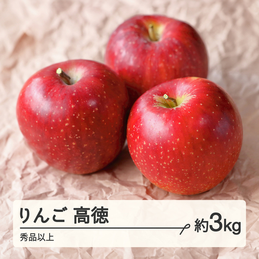 [先行予約]2026年産 山形県産 りんご 高徳(こうとく)秀品以上 約3kg(11〜18玉) 2026年10月下旬より順次発送 秋果実 果物 フルーツ tt-riktx3