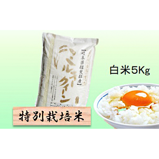 特別栽培米 [ 令和8年産 ] 白米 5kg [ ミルキークイーン ]