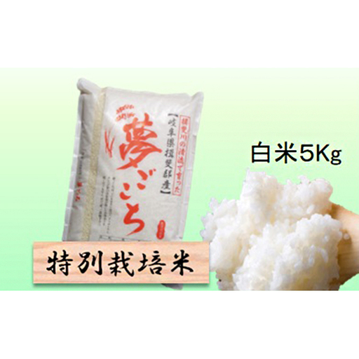 特別栽培米 [ 令和8年産 ] 白米 5kg [ 夢ごこち ]