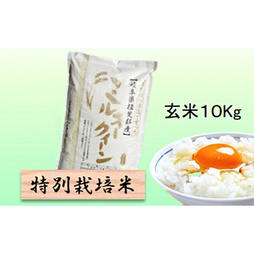 特別栽培米 【 令和8年産 】 玄米 10kg 【 ミルキークイーン 】