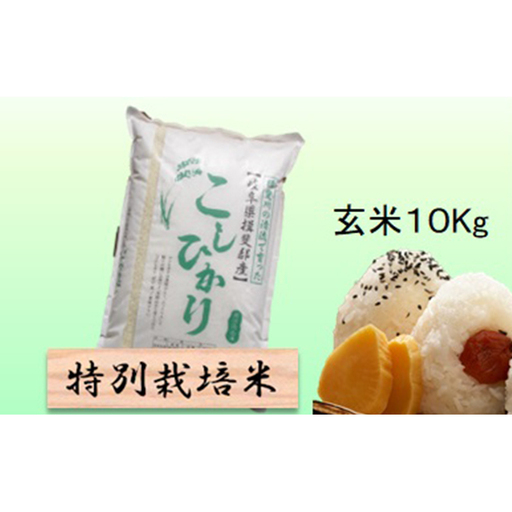特別栽培米 【 令和8年産 】 玄米 10kg 【 コシヒカリ 】