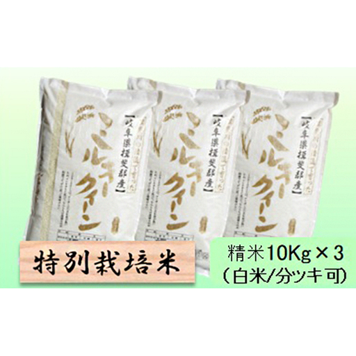 特別栽培米 【 令和8年産 】 精米 30kg（白米/5分/7分ツキ可）【 ミルキークイーン 】玄米は別に出品