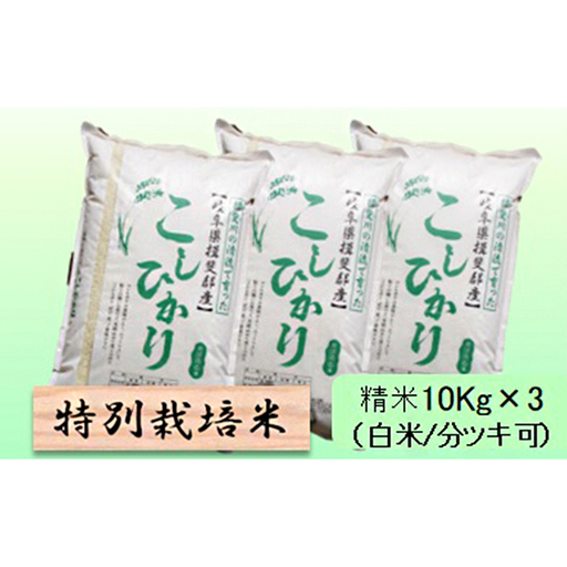 特別栽培米 【 令和8年産 】 精米 30kg（白米/5分/7分ツキ可）【 コシヒカリ 】玄米は別に出品