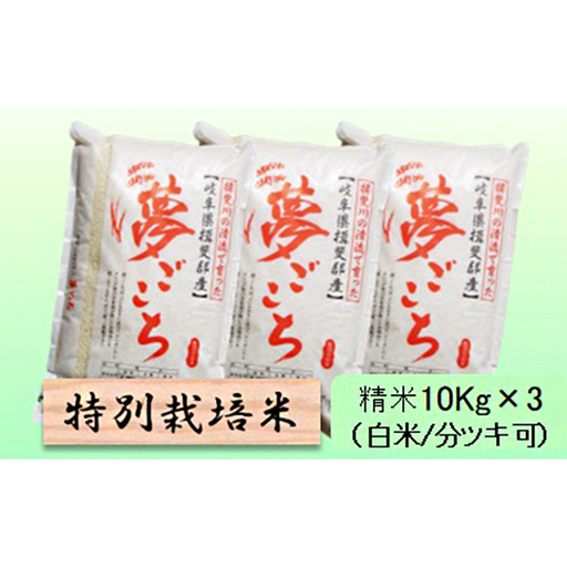 特別栽培米 【 令和8年産 】 精米 30kg（白米/5分/7分ツキ可）【 夢ごこち 】玄米は別に出品