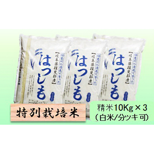 特別栽培米 【 令和8年産 】 精米 30kg（白米/5分/7分ツキ可）【 ハツシモ 】玄米は別に出品