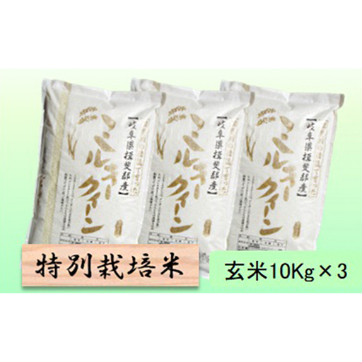 特別栽培米 【 令和8年産 】 玄米 30kg【 ミルキークイーン 】
