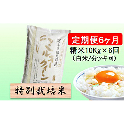 定期便 6カ月【 令和8年産 】毎月  精米 10kg（ 白米 /7分/ 5分 ツキ可）【 ミルキークイーン 】玄米は別に出品
