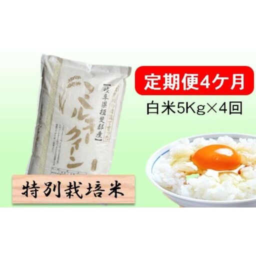 定期便 4カ月[ 令和8年産 ]毎月 白米 5kg[ ミルキークイーン ]