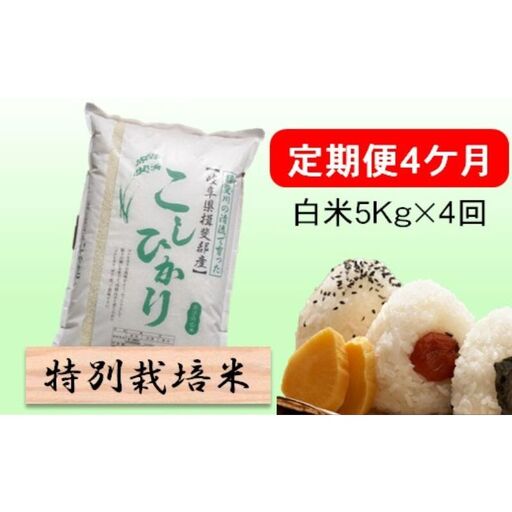 定期便 4カ月[ 令和8年産 ]毎月 白米 5kg[ コシヒカリ ]