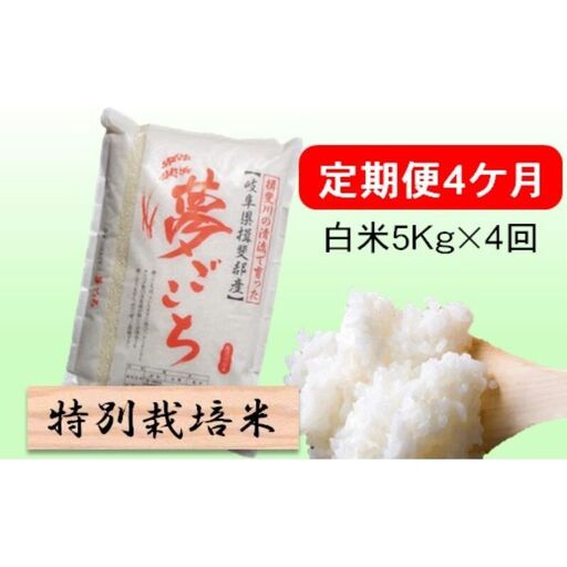 定期便 4カ月[ 令和8年産 ]毎月 白米 5kg[ 夢ごこち ]