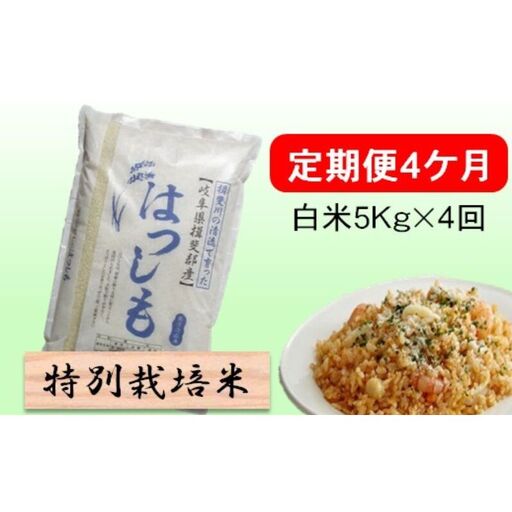 定期便 4カ月[ 令和8年産 ]毎月 白米 5kg[ ハツシモ ]