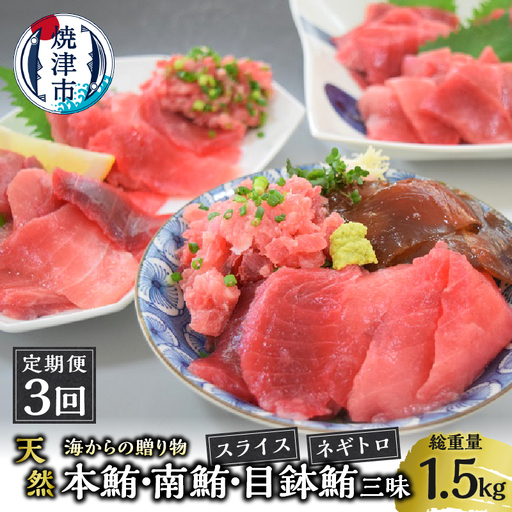 海からの贈り物 焼津天然まぐろ三昧 切り落とし(3回お届け)定期便 (a30-330)