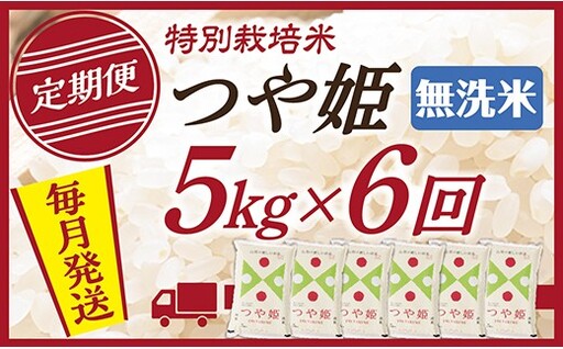 【定期便】【無洗米】令和8年産 山形県産 つや姫 5kg 6回配送　【初回R9年1月発送】