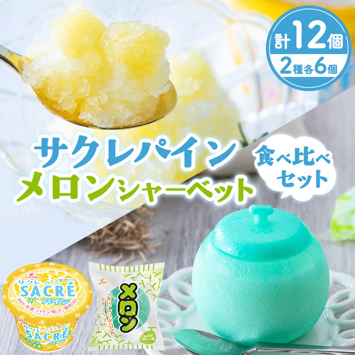 サクレパイン・メロンシャーベット 食べ比べセット　|　アイス フルーツ　シャーベット　パイン　メロン　かき氷　スイーツ