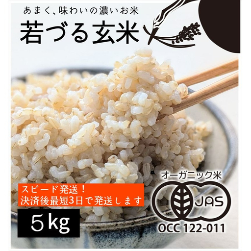 [有機JAS]多可町産 きぬむすめ 玄米 5kg 農園若づる 有機栽培 オーガニック アイガモ 合鴨農法 無農薬 無化学肥料 即納 [1387]
