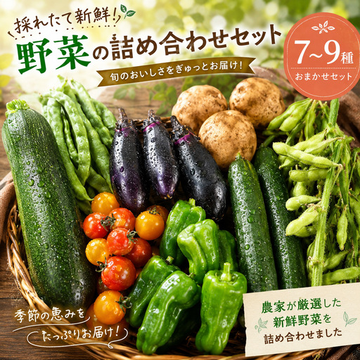 野菜 旬 詰め合わせ セット 7種 〜 9種 おまかせ 野菜