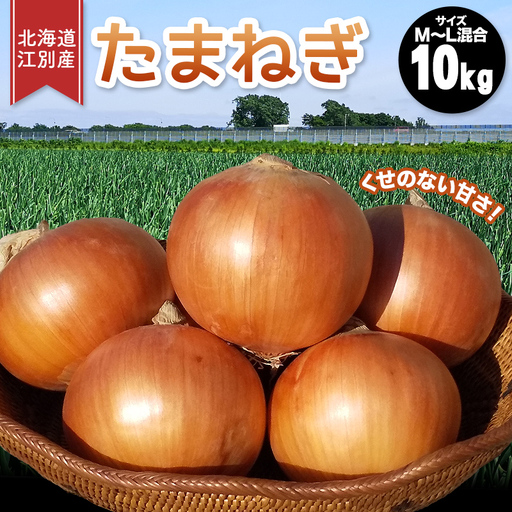 先行受付 10月以降発送 北海道江別産 高田農場 たまねぎ 大容量10kg サイズM〜L混合 あまくて日持ちのする玉葱