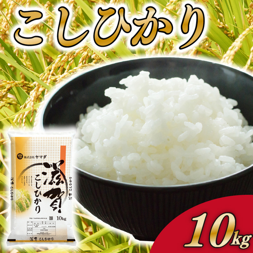 こしひかり 10kg 白米 コシヒカリ 米 こめ ご飯 近江米 お弁当