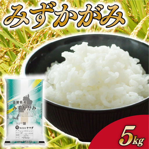 みずかがみ 5kg 白米 米 こめ ご飯 近江米 お弁当