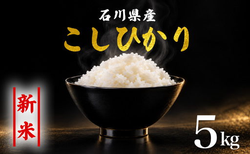 【令和8年産】 精米 コシヒカリ 5kg こしひかり 白米