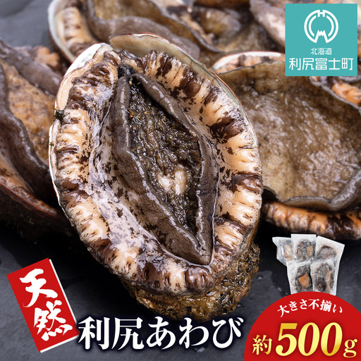 利尻島産 ☆天然蝦夷あわび 500g☆
