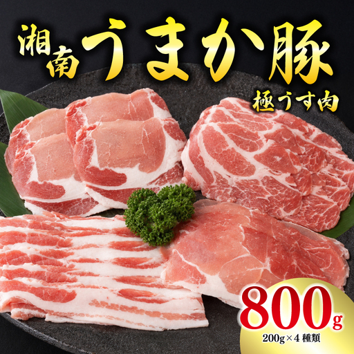 豚肉 湘南 平塚産 極うす肉 セット 約800g 豚肉