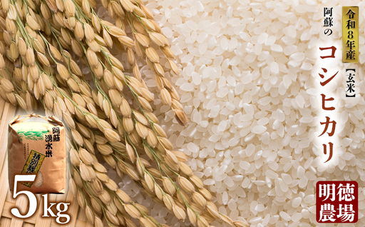 コシヒカリ 令和8年産 5kg 【玄米】 明徳農場 減農薬 特別栽培米 米 お米 美味しい 寒暖差 湧き水 お取り寄せ 熊本県 阿蘇市
