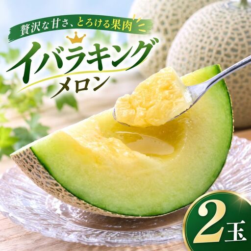 [先行予約]イバラキング(鉾田市) 2玉 青肉品種 青肉メロン! / イバラキング 果物 フルーツ メロン 産地直送