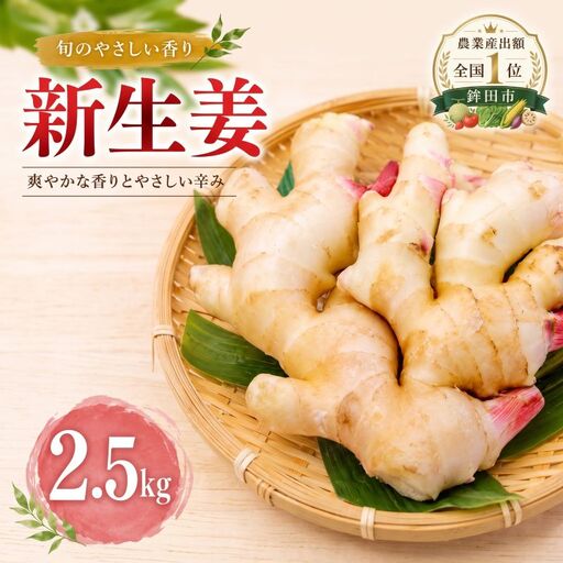 新生姜 2.5kg しょうが 生姜 新生姜
