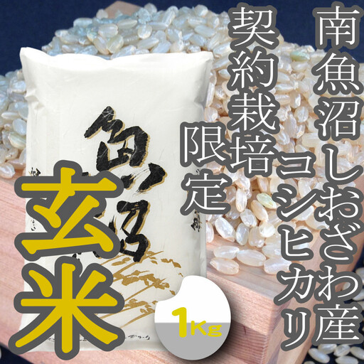 【令和8年産 新米】玄米【1Kg】 生産者限定 南魚沼しおざわ産コシヒカリ【銘柄米 玄米 こしひかり コシヒカリ 魚沼産 新潟米 お米 米 こめ コメ ご飯 御飯 ごはん】【2026年10月上旬より1ヶ月以内に順次発送予定】