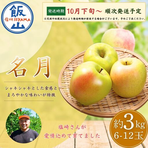 [先行予約]りんご 名月 約3kg (6〜12玉) りんご