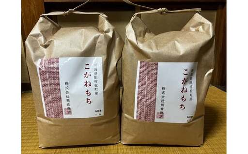 令和7年産 旧村松町産 こがねもち 10kg(5kg×2袋) 新潟県 五泉市 株式会社熊倉商店