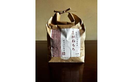 [先行予約]令和8年産[3回定期便] 旧村松町産 こがねもち 3kg 新潟県 五泉市 株式会社熊倉商店