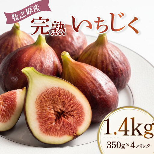 いちじく 1.4kg もぐはぐ農園の完熟もぎたて 4パック 新鮮 静岡 牧之原 丸新柴本製茶