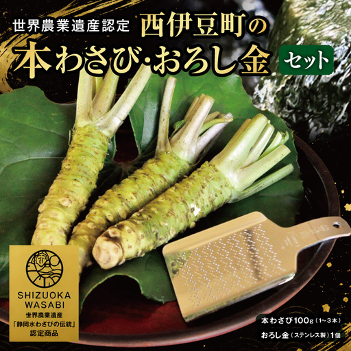 [世界農業遺産認定]西伊豆町の本わさび・おろし金セット(岡原わさび)[12月・1月除く] 西伊豆町 天城山 清流 本わさび おろし金 サメ吉 お刺身 さしみ ステーキ 薬味 冷蔵 西伊豆 伊豆 ギフト お歳暮 お中元