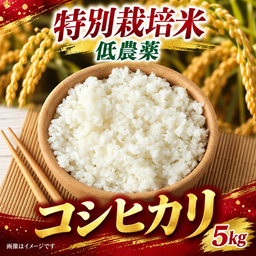新米 コシヒカリ 5kg 特別栽培米 [BSEO006-f]