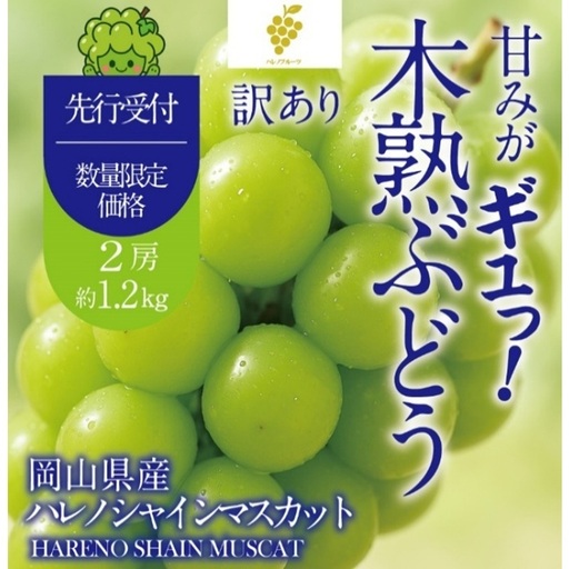 先行予約 訳あり 木熟ぶどう ハレノシャイン シャインマスカット 2房 約1.2kg 10月〜11月発送 皮ごと食べる みずみずしい 甘い フレッシュ 冷蔵 晴れの国 おかやま 果物大国 ご家庭用 ハレノフルーツ